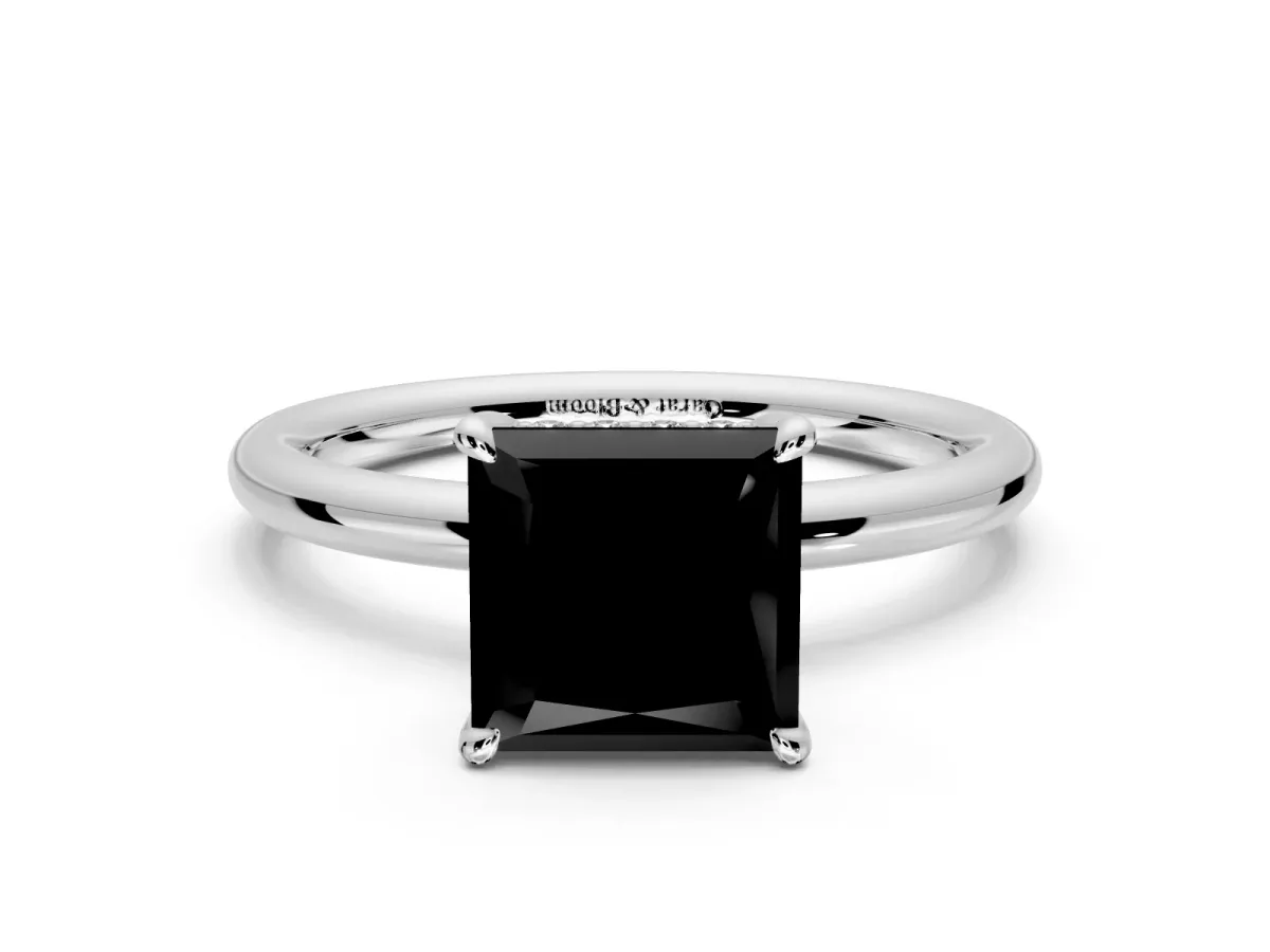 Hidden Halo Engagement Ring Setting for Fancy Black Princess Cut Center with Thin Rounded Band and Prong Head in Platinum