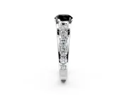 Solitaire Engagement Ring Setting for Fancy Black Round Cut Center with Graduated Shared Prongs and Prong Head in Platinum