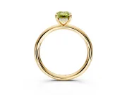 Hidden Halo Engagement Ring Setting for Fancy Yellow Emerald Cut Center with Thin Rounded Band and Prong Head in Yellow Gold
