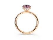Hidden Halo Engagement Ring Setting for Fancy Pink Round Cut Center with Thin Rounded Band and Prong Head in Rose Gold