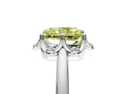 Floral Frame Engagement Ring Setting for Fancy Yellow Radiant Cut Center with Accent Clusters and Prong Head in Platinum