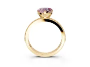 Milgrain Pave Engagement Ring Setting for Fancy Pink Heart-Shaped Center with Accent Band and Prong Head in Yellow Gold