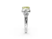 Cluster Engagement Ring Setting for Fancy Yellow Radiant Cut Center with Round Cut Accent Frame and Prong Head in Platinum