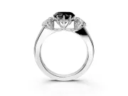 3 Stone Engagement Ring Setting for Fancy Black Heart-Shaped Center with Raised Basket Heads and Prong Head in Platinum