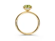 Solitaire Engagement Ring Setting for Fancy Yellow Round Cut Center with Plain Band, Open Basket and Prong Head in Yellow Gold