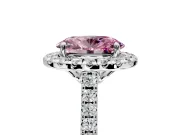 Halo Engagement Ring Setting for Fancy Pink Oval Center with Raised Halo, Pave Band and Prong Head in Platinum