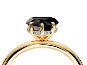 Hidden Halo Engagement Ring Setting for Fancy Black Heart-Shaped Center with Thin Rounded Band and Prong Head in Yellow Gold