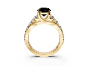 Solitaire Engagement Ring Setting for Fancy Black Round Cut Center with Graduated Shared Prongs and Prong Head in Yellow Gold