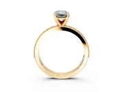 Milgrain Pave Engagement Ring Setting for Emerald Cut Center with Accent Band and Prong Head in Yellow Gold