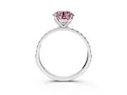 Solitaire Engagement Ring Setting for Fancy Pink Round Cut Center with Fine Pave Accents and Prong Head in White Gold