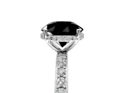 Hidden Halo Engagement Ring Setting for Fancy Black Round Cut Center with Pave Band and Prong Head in Platinum