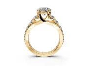 Solitaire Engagement Ring Setting for Heart-Shaped Center with Graduated Shared Prongs and Prong Head in Yellow Gold