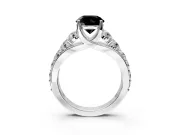 Solitaire Engagement Ring Setting for Fancy Black Round Cut Center with Graduated Shared Prongs and Prong Head in Platinum