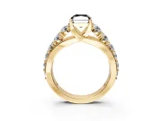 Solitaire Engagement Ring Setting for Fancy Black Radiant Cut Center with Graduated Shared Prongs and Prong Head in Yellow Gold