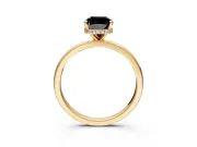 Hidden Halo Engagement Ring Setting for Fancy Black Cushion Cut Center with Plain Band and Tall Prong Head in Yellow Gold