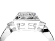 Cluster Engagement Ring Setting for Princess Cut Center with Milgrain Shoulder Clusters and Prong Head in White Gold