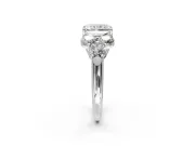 Cluster Engagement Ring Setting for Radiant Cut Center with Round Cut Accent Frame and Prong Head in Platinum