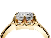 Floral Frame Engagement Ring Setting for Princess Cut Center with Accent Clusters and Prong Head in Yellow Gold