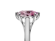 Solitaire Engagement Ring Setting for Fancy Pink Oval Center with Cathedral Band and Prong Head in Platinum