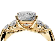 Cluster Engagement Ring Setting for Princess Cut Center with Round Cut Accent Frame and Prong Head in Yellow Gold