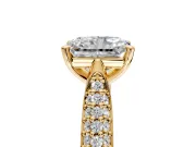Solitaire Engagement Ring Setting for Radiant Cut Center with Multi-Row Accents and Prong Head in Yellow Gold