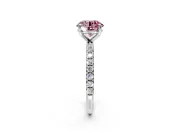 Solitaire Engagement Ring Setting for Fancy Pink Round Cut Center with Micro Pave Band and Prong Head in White Gold