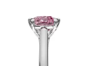 Solitaire Engagement Ring Setting for Fancy Pink Cushion Cut Center with Cathedral Band and Prong Head in Platinum
