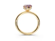 Hidden Halo Engagement Ring Setting for Fancy Pink Heart-Shaped Center with Thin Rounded Band and Prong Head in Yellow Gold