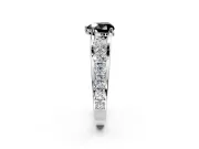 Solitaire Engagement Ring Setting for Fancy Black Heart-Shaped Center with Graduated Shared Prongs and Prong Head in White Gold