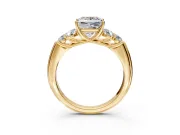 Cluster Engagement Ring Setting for Princess Cut Center with Round Cut Accent Frame and Prong Head in Yellow Gold