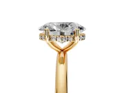 Hidden Halo Engagement Ring Setting for Oval Center with Thin Round-Wire Band and Prong Head in Yellow Gold