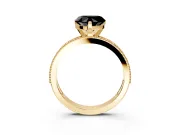 Milgrain Pave Engagement Ring Setting for Fancy Black Heart-Shaped Center with Accent Band and Prong Head in Yellow Gold