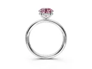 Hidden Halo Engagement Ring Setting for Fancy Pink Round Cut Center with Thin Rounded Band and Prong Head in Platinum