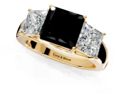 3 Stone Engagement Ring Setting for Fancy Black Princess Cut Center with Raised Basket Heads and Prong Head in Yellow Gold