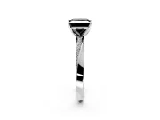Side Accent Engagement Ring Setting for Fancy Black Princess Cut Center with Accent Shoulders and Prong Head in Platinum