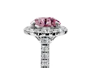 Halo Engagement Ring Setting for Fancy Pink Round Cut Center with Raised Halo, Pave Band and Prong Head in Platinum