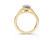 Solitaire Engagement Ring Setting for Radiant Cut Center with Channel Accents and Prong Head in Yellow Gold