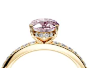 Solitaire Engagement Ring Setting for Fancy Pink Oval Center with Fine Pave Band and Prong Head in Yellow Gold