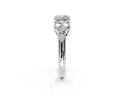 Cluster Engagement Ring Setting for Cushion Cut Center with Round Cut Accent Frame and Prong Head in Platinum