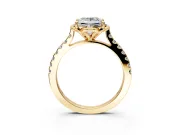 Floral Engagement Ring Setting for Princess Cut Center with Pave Band and Floral Prong Head in Yellow Gold