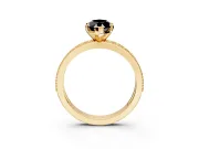 Milgrain Pave Engagement Ring Setting for Fancy Black Marquise Center with Accent Band and Prong Head in Yellow Gold
