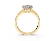 Solitaire Engagement Ring Setting for Princess Cut Center with Channel-Set Accent Band and Prong Head in Yellow Gold