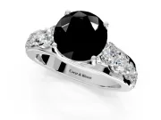 Solitaire Engagement Ring Setting for Fancy Black Round Cut Center with Graduated Shared Prongs and Prong Head in Platinum