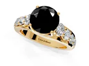 Solitaire Engagement Ring Setting for Fancy Black Round Cut Center with Graduated Shared Prongs and Prong Head in Yellow Gold
