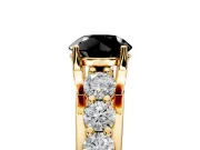 Solitaire Engagement Ring Setting for Fancy Black Round Cut Center with Graduated Shared Prongs and Prong Head in Yellow Gold