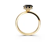 Hidden Halo Engagement Ring Setting for Fancy Black Heart-Shaped Center with Plain Band and Tall Prong Head in Yellow Gold