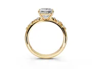 Cluster Engagement Ring Setting for Princess Cut Center with Round Cut Accent Band and Prong Head in Yellow Gold