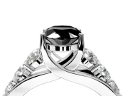 Solitaire Engagement Ring Setting for Fancy Black Oval Center with Graduated Shared Prongs and Prong Head in White Gold