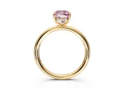 Hidden Halo Engagement Ring Setting for Fancy Pink Cushion Cut Center with Thin Rounded Band and Prong Head in Yellow Gold