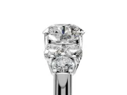 Cluster Engagement Ring Setting for Round Cut Center with Round Cut Accent Frame and Prong Head in Platinum